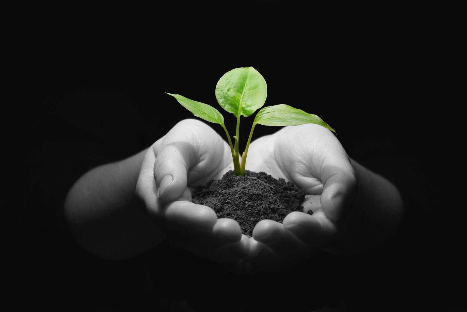 Investment Opportunites